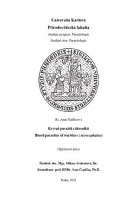 Náhled dokumentu