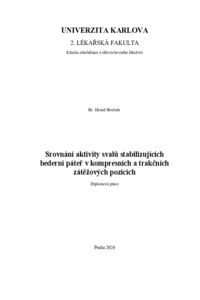 Náhled dokumentu
