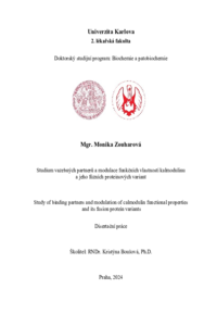 Document thumbnail