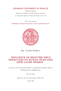 Document thumbnail
