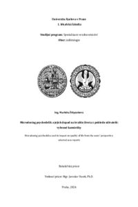 Document thumbnail