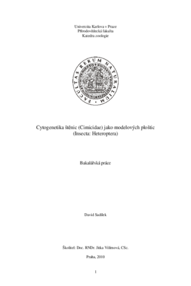 Document thumbnail