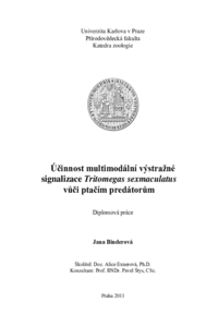 Document thumbnail