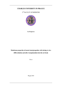 Document thumbnail