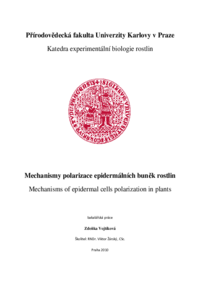 Document thumbnail