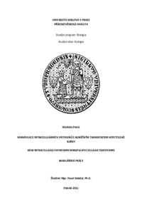 Document thumbnail
