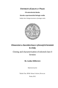 Document thumbnail