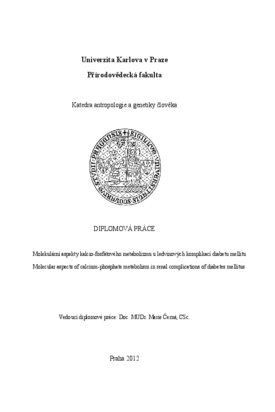 Náhled dokumentu