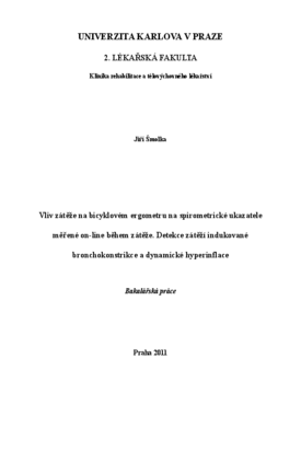 Náhled dokumentu