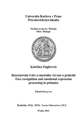Document thumbnail
