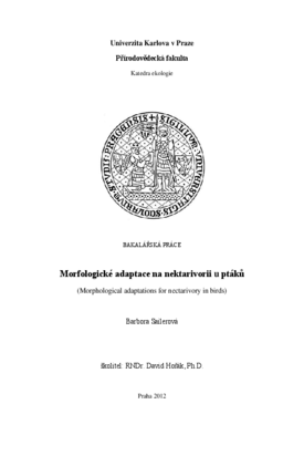 Document thumbnail