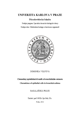 Document thumbnail