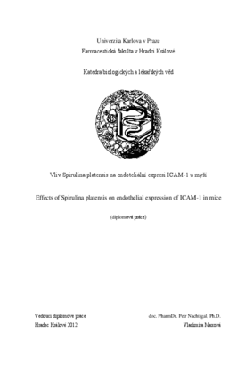Document thumbnail