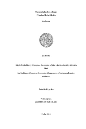 Document thumbnail