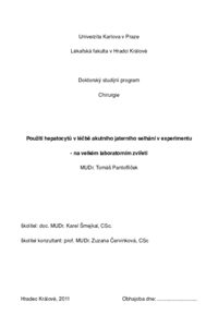 Document thumbnail