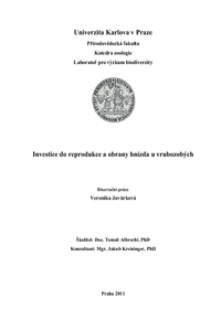 Document thumbnail