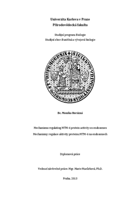 Document thumbnail