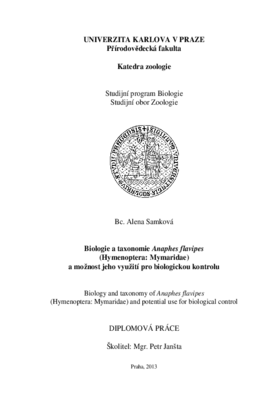 Document thumbnail