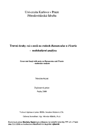 Document thumbnail