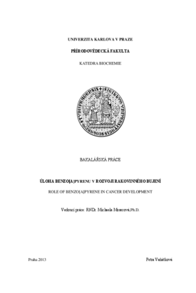 Document thumbnail