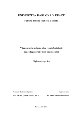 Náhled dokumentu