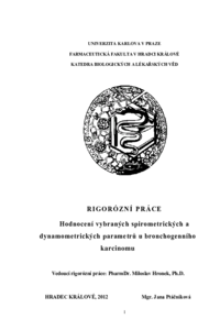 Náhled dokumentu