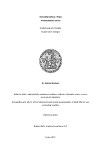 Document thumbnail