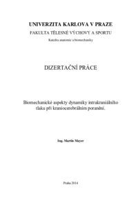 Náhled dokumentu