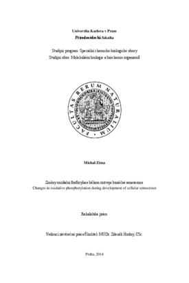 Document thumbnail