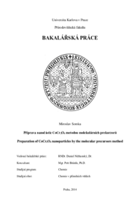 Document thumbnail