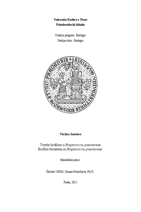 Document thumbnail