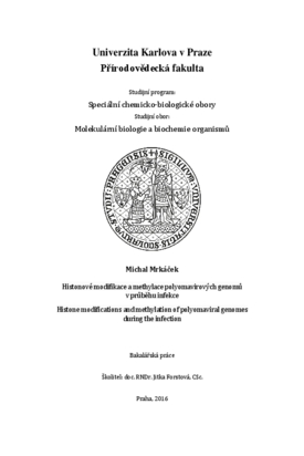 Document thumbnail