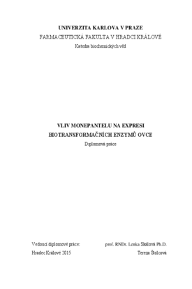 Document thumbnail