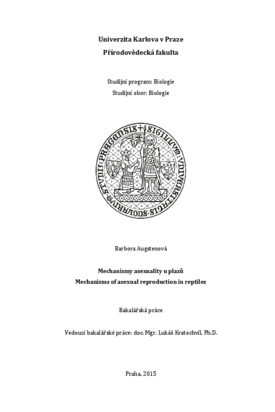 Document thumbnail