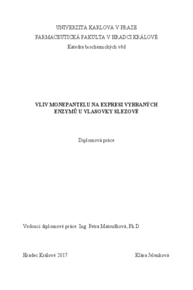 Document thumbnail