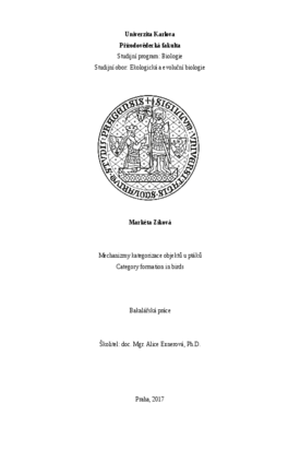 Document thumbnail