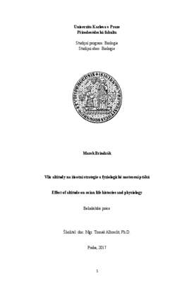 Document thumbnail