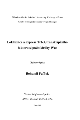 Náhled dokumentu