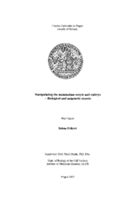 Document thumbnail