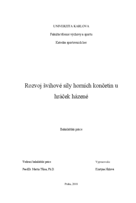 Náhled dokumentu