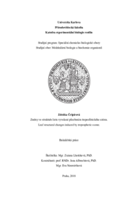 Document thumbnail