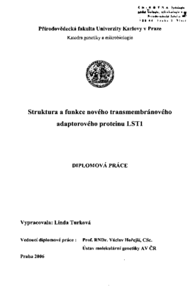 Document thumbnail