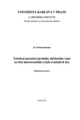 Náhled dokumentu